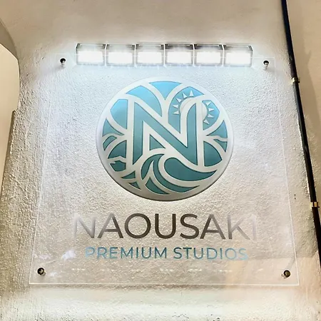 Naousaki Premium 1 *