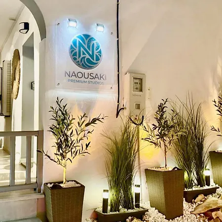 Daire Naousaki Premium 1 *