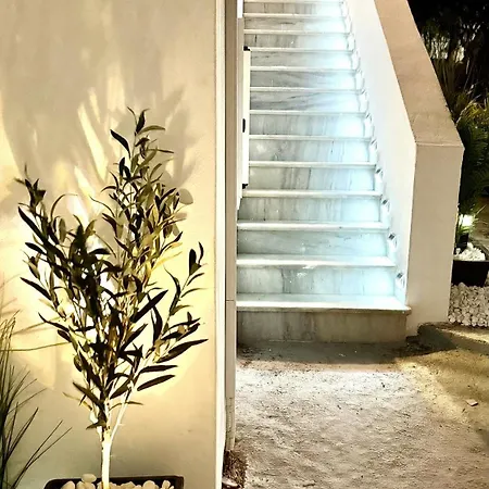 Naousaki Premium 1